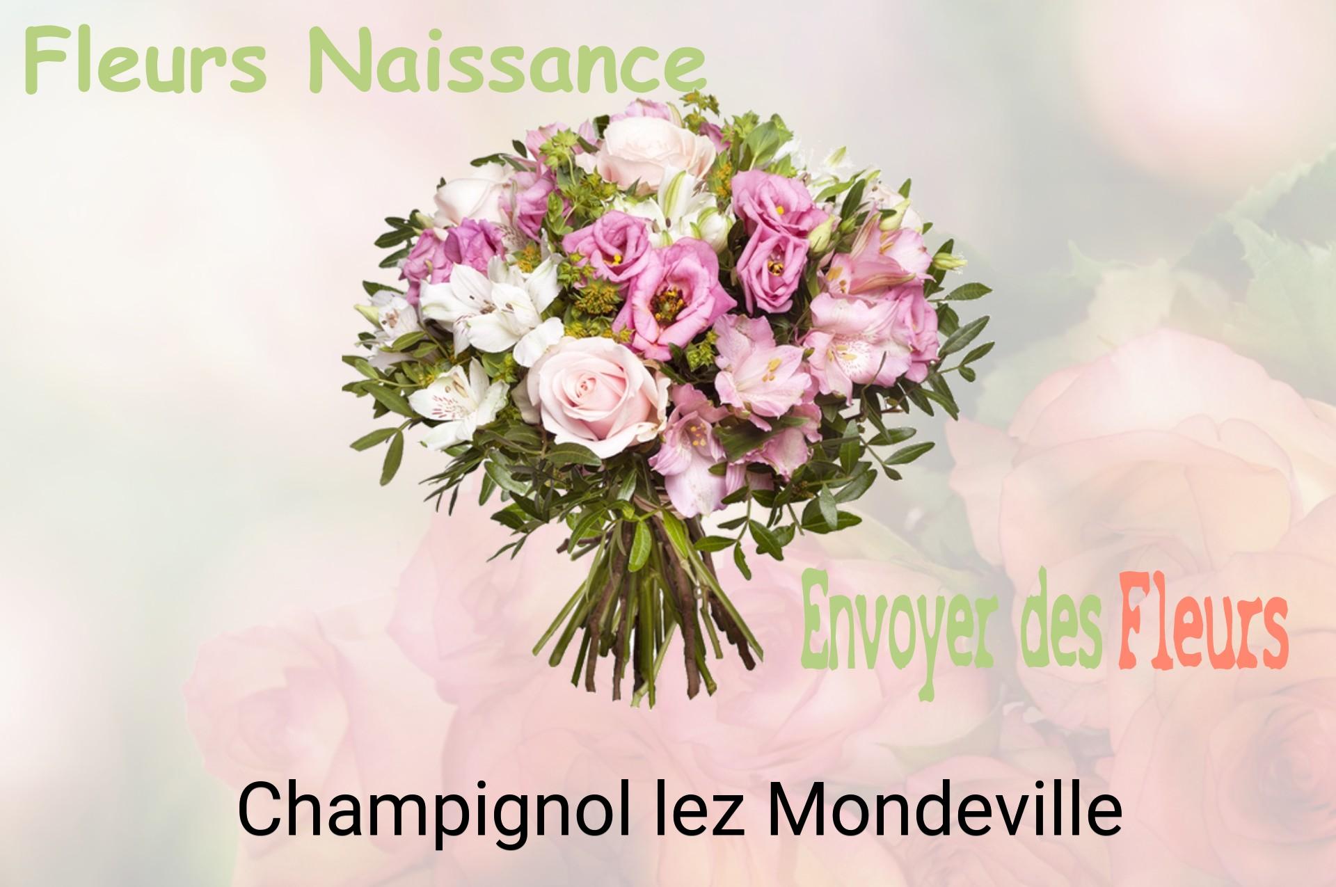 Bouquet de fleurs de naissance livré à Champignol-lez-Mondeville